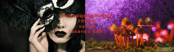 круглые Инсар