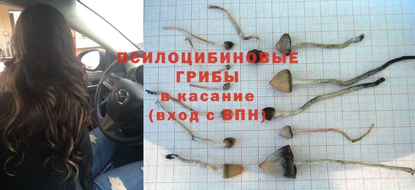 спиды Инта