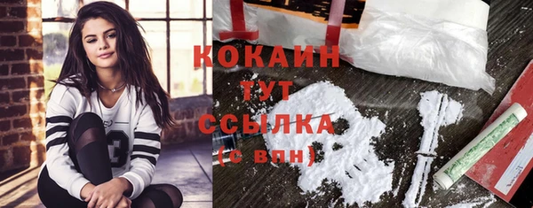 спиды Инта