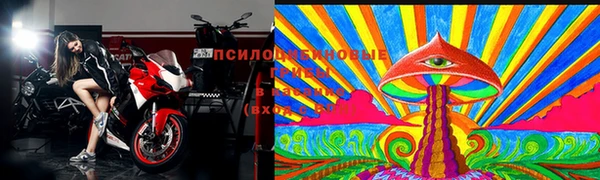 спиды Инта